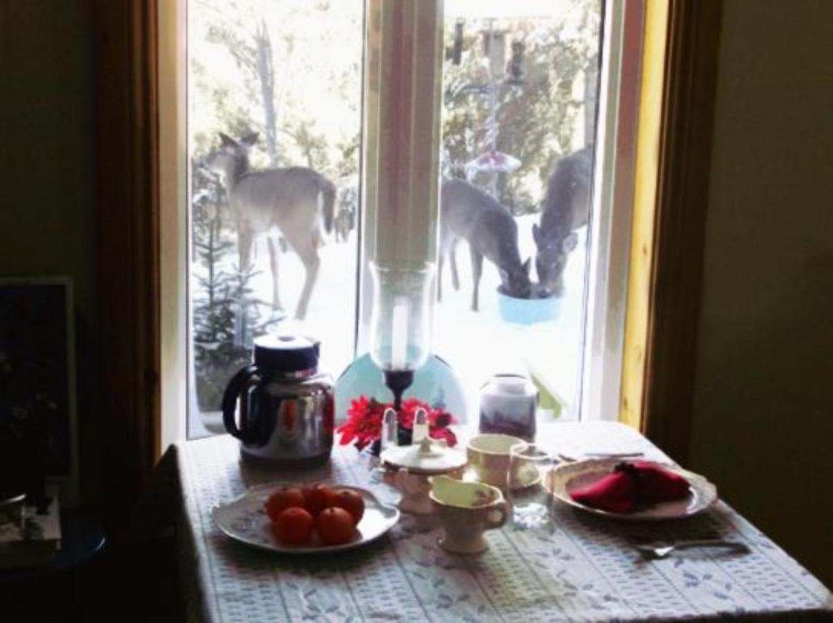 La Petite Douceur Bed & Breakfast Lac-Superieur Exterior foto